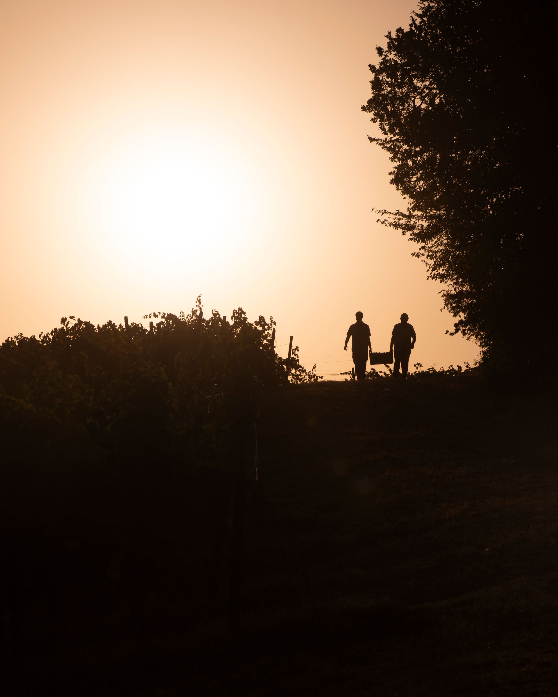 donelasca nell'oltrepo pavese al tramonto